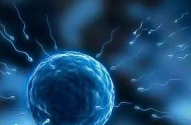 广东最大的助孕机构是哪家？深圳三大助孕机构介绍