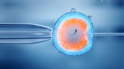 2026濮阳试管婴儿各环节所需费用不等，费用详情已整理好了