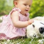 山东做第三代试管婴儿生孩一次多少钱？